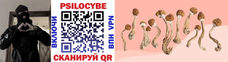 сколько стоит  Тула  ОМГ ОМГ зеркало  Галлюциногенные грибы MAGIC MUSHROOMS 