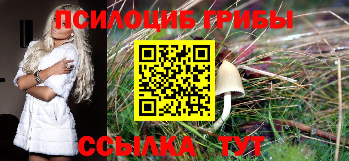 Галлюциногенные грибы мицелий  Псилоцибиновые грибы мухоморы  Вход с VPN  Тула 