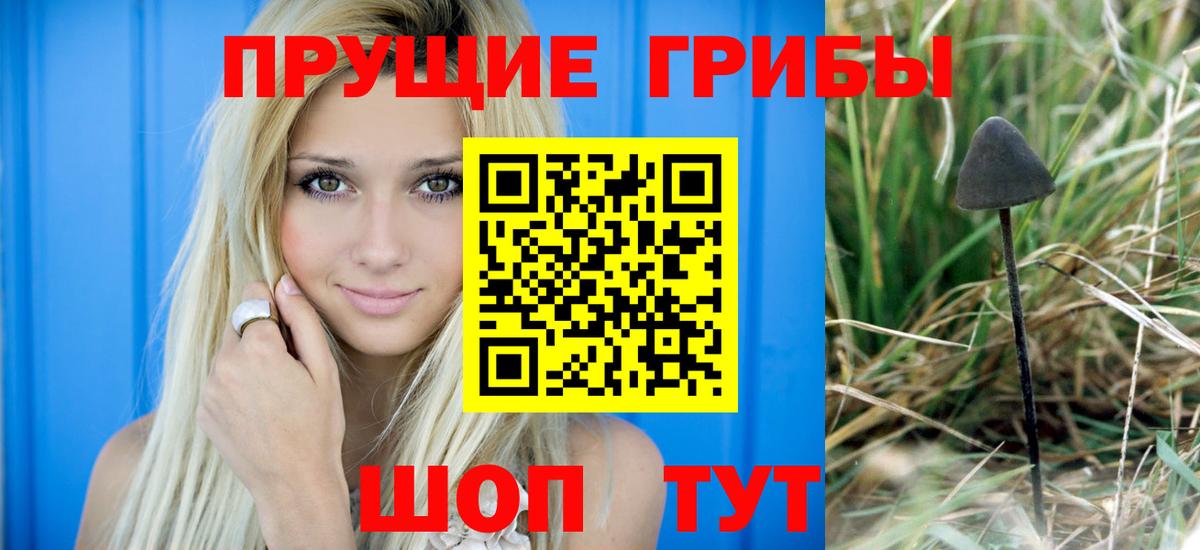 Галлюциногенные грибы мицелий Тула